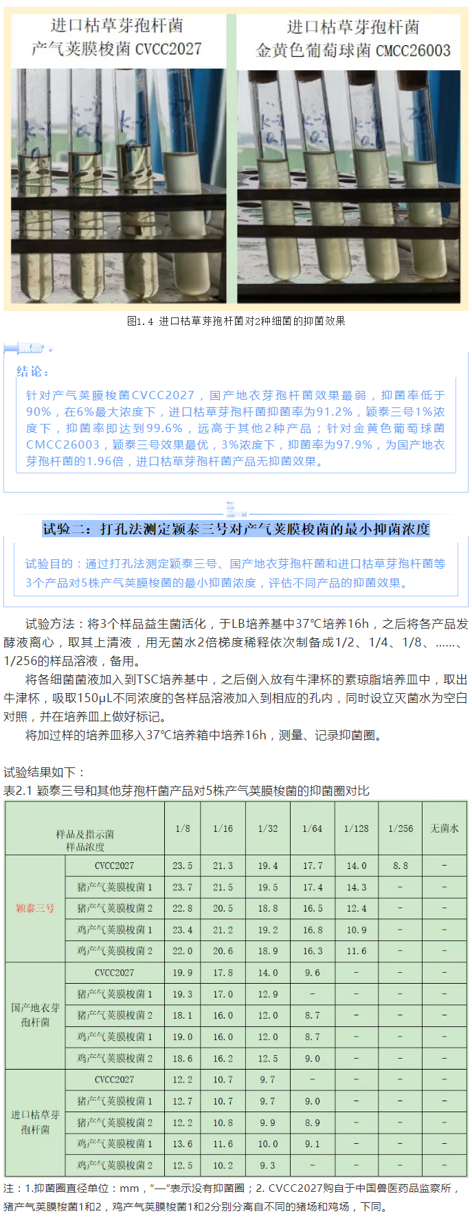 實(shí)驗(yàn)室簡明評估穎泰三號抑菌效果報(bào)告_03