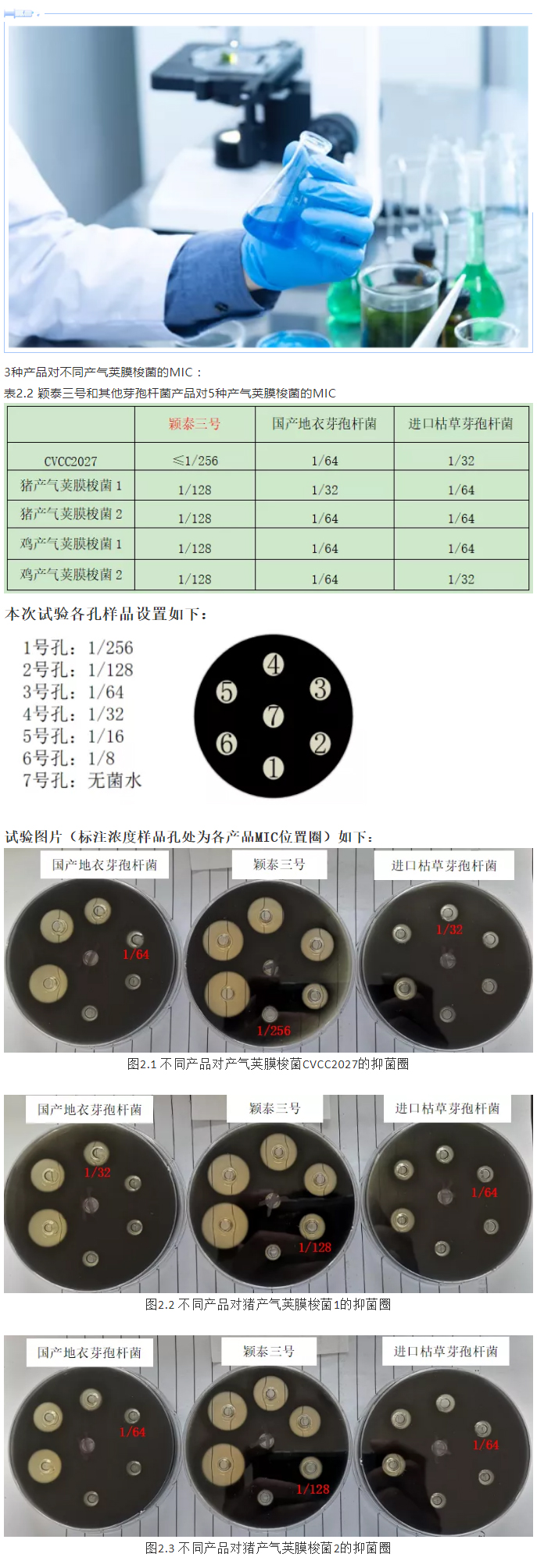 實(shí)驗(yàn)室簡明評估穎泰三號抑菌效果報(bào)告_04