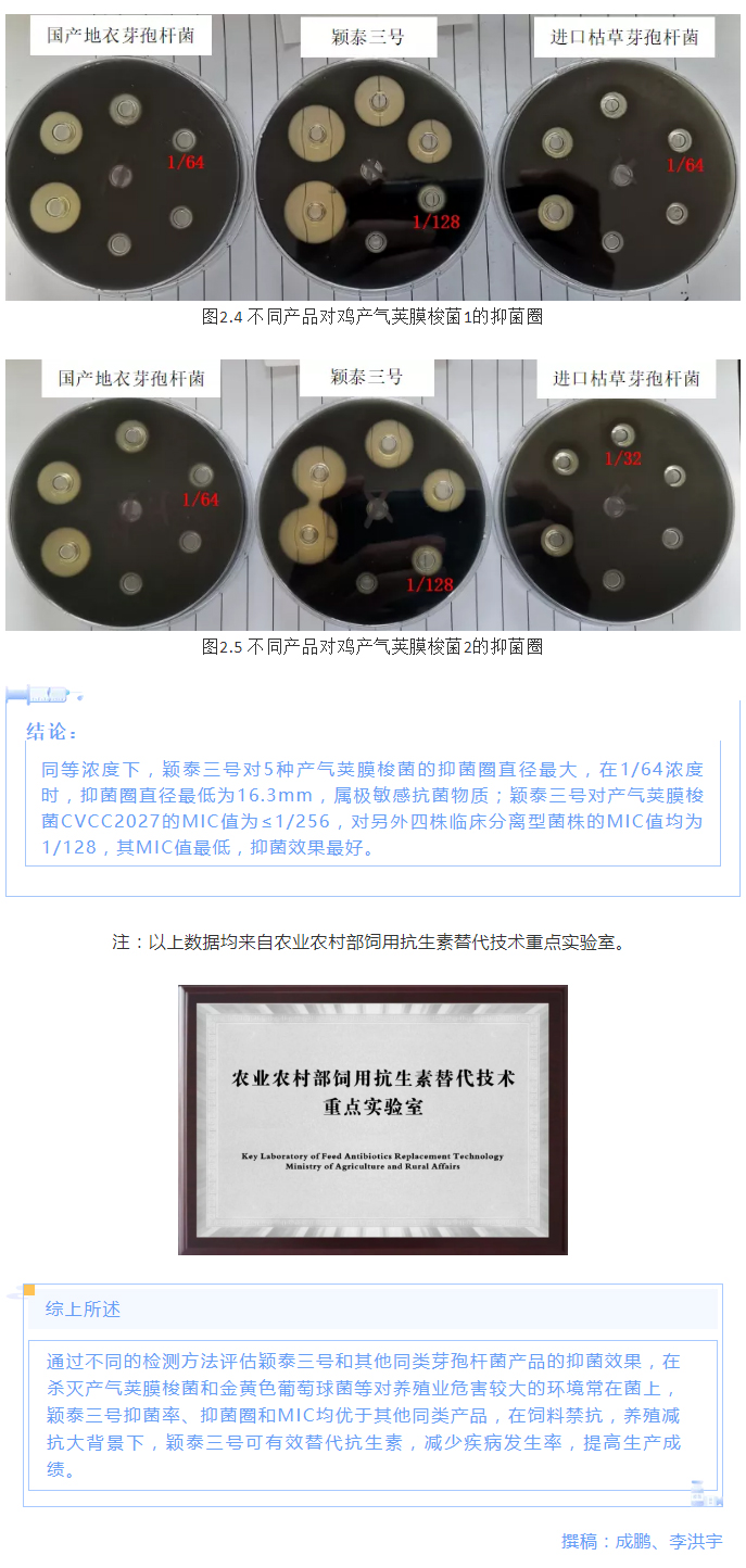 實(shí)驗(yàn)室簡明評估穎泰三號抑菌效果報(bào)告_05