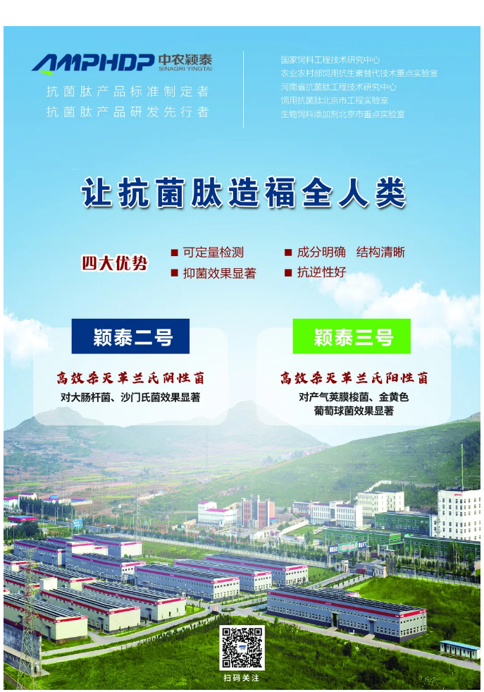 實(shí)驗(yàn)室簡明評估穎泰三號抑菌效果報(bào)告_06