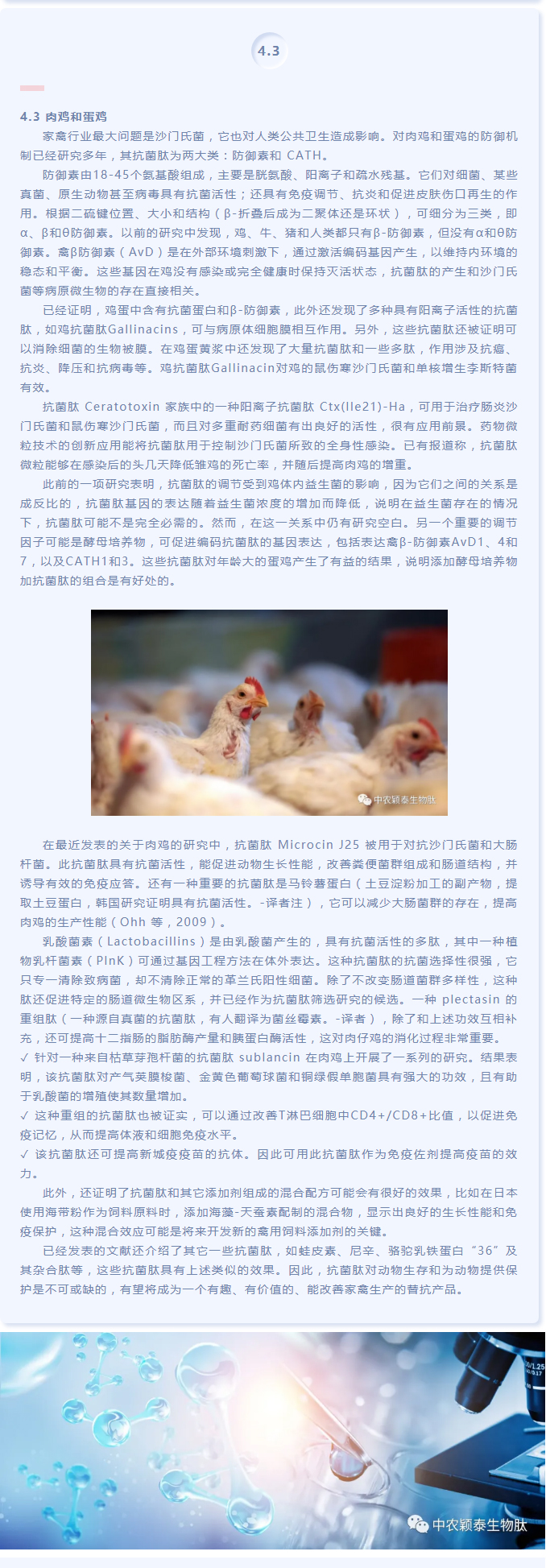 抗菌肽作為替抗飼料添加劑對動物生產、食品安全和公共衛生影響的綜述（下）_03